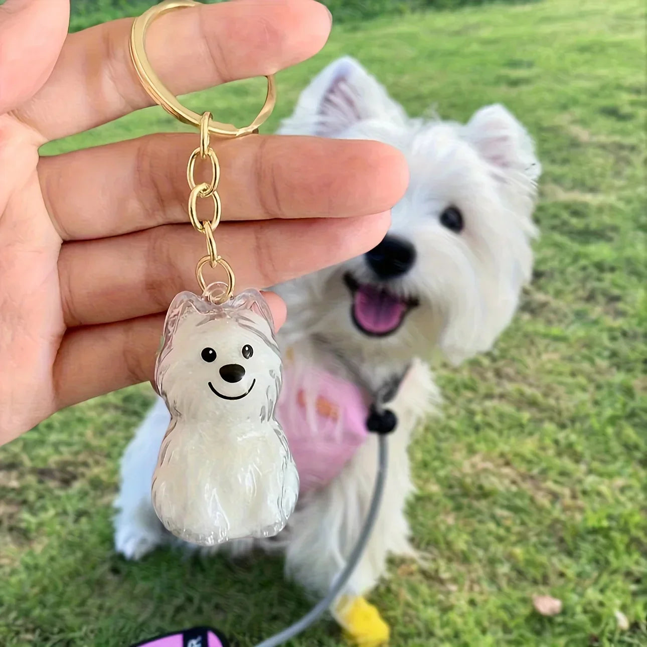 Pet Hair Memorial Keychain | Transparent Keepsake Capsule
