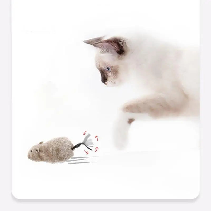 Wind-Up Plush Mouse Toy for Cats & Dogs