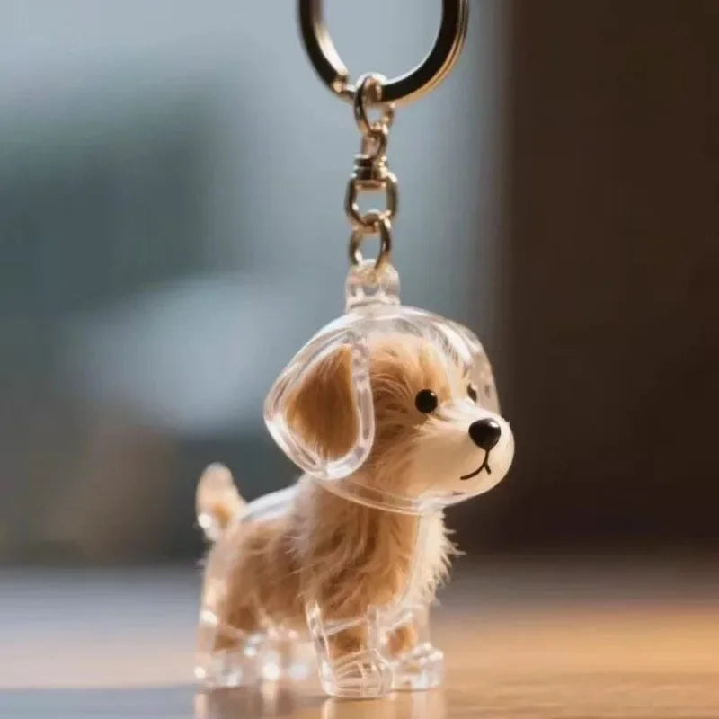 Pet Hair Memorial Keychain | Transparent Keepsake Capsule