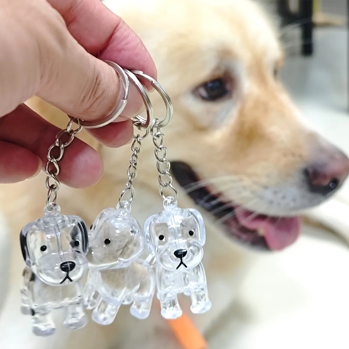 Pet Hair Memorial Keychain | Transparent Keepsake Capsule
