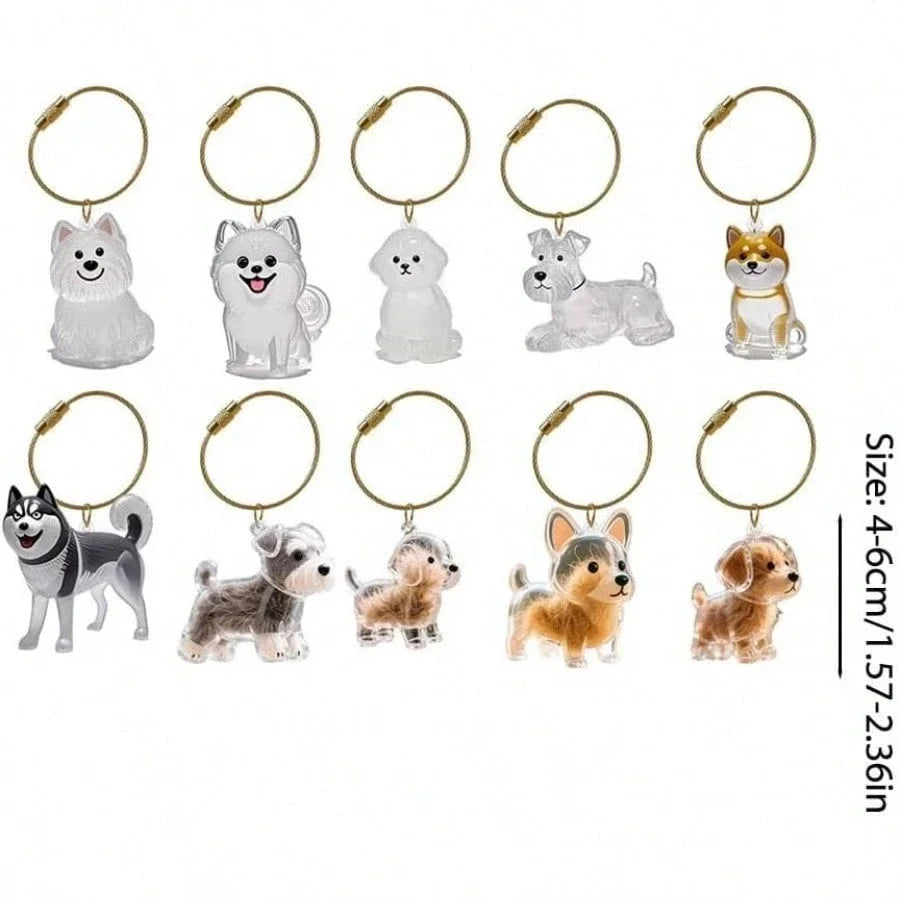 Pet Hair Memorial Keychain | Transparent Keepsake Capsule