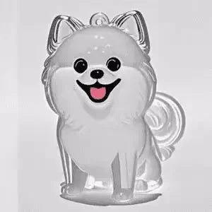 Pet Hair Memorial Keychain | Transparent Keepsake Capsule