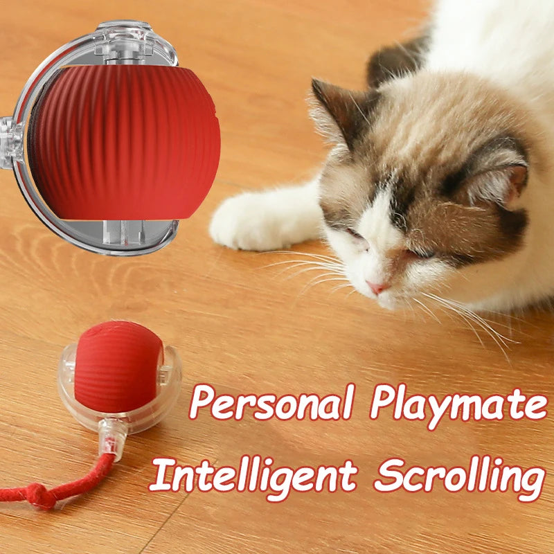 Smart Auto-Rolling Ball Toy for Cats