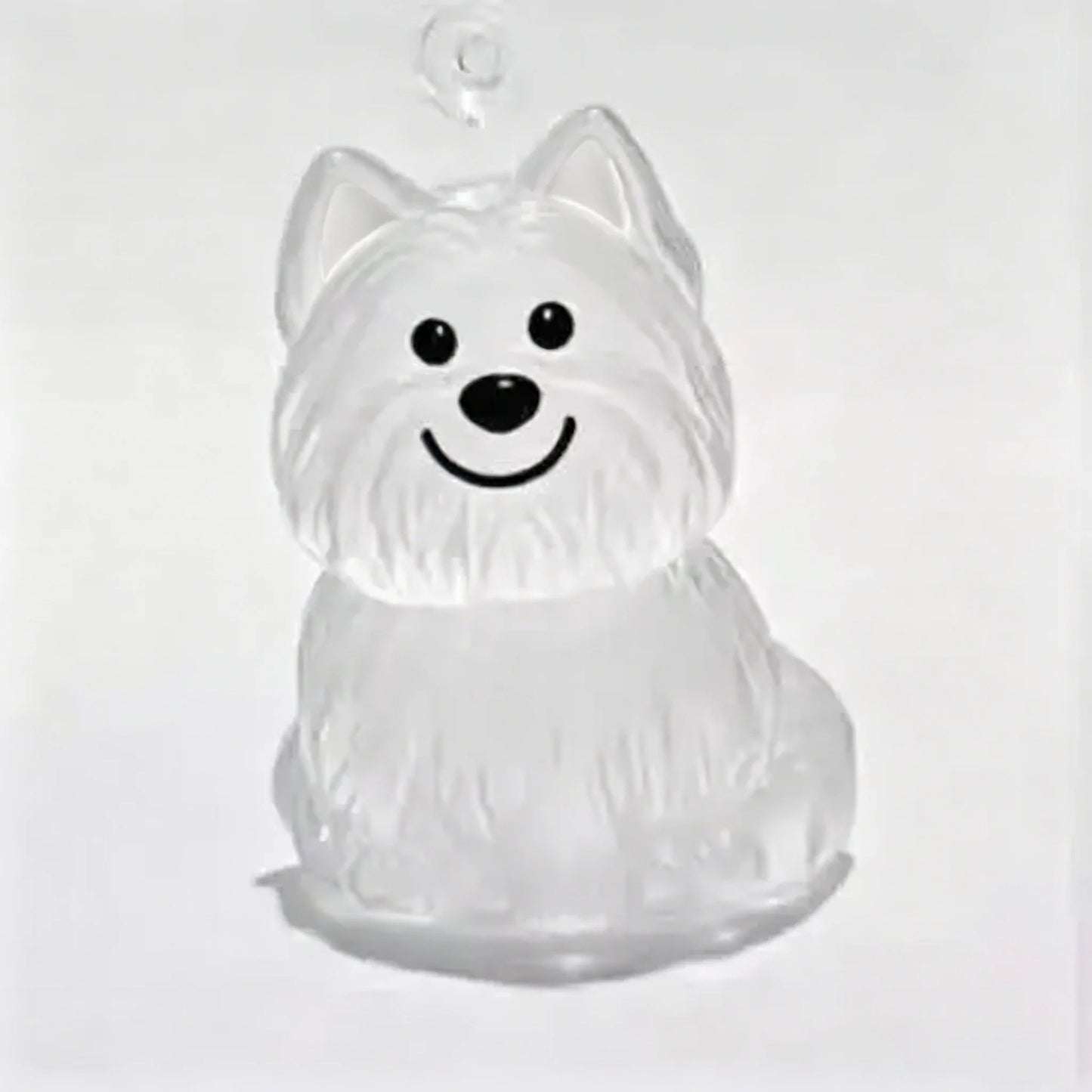 Pet Hair Memorial Keychain | Transparent Keepsake Capsule